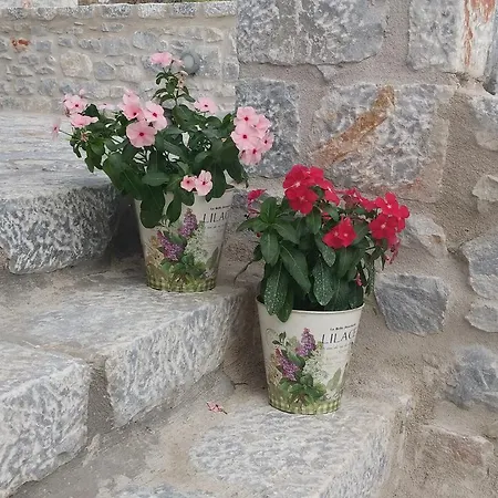 카마레스 빌라 3*