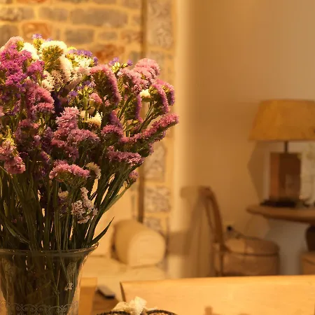 카마레스 빌라 아파트호텔 3*